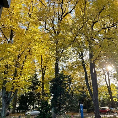 Aparthotel Stadtpark Λίμπεκ Εξωτερικό φωτογραφία