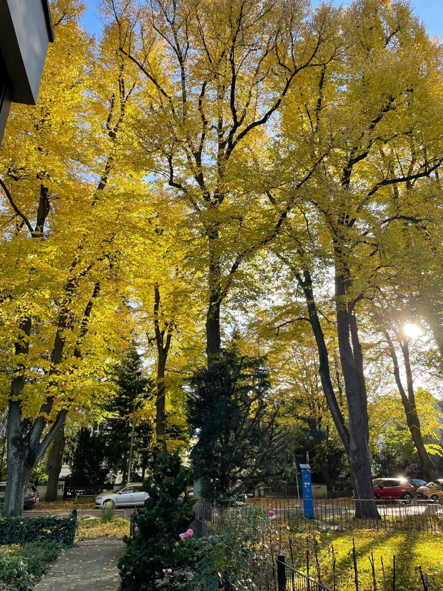 Aparthotel Stadtpark Λίμπεκ Εξωτερικό φωτογραφία